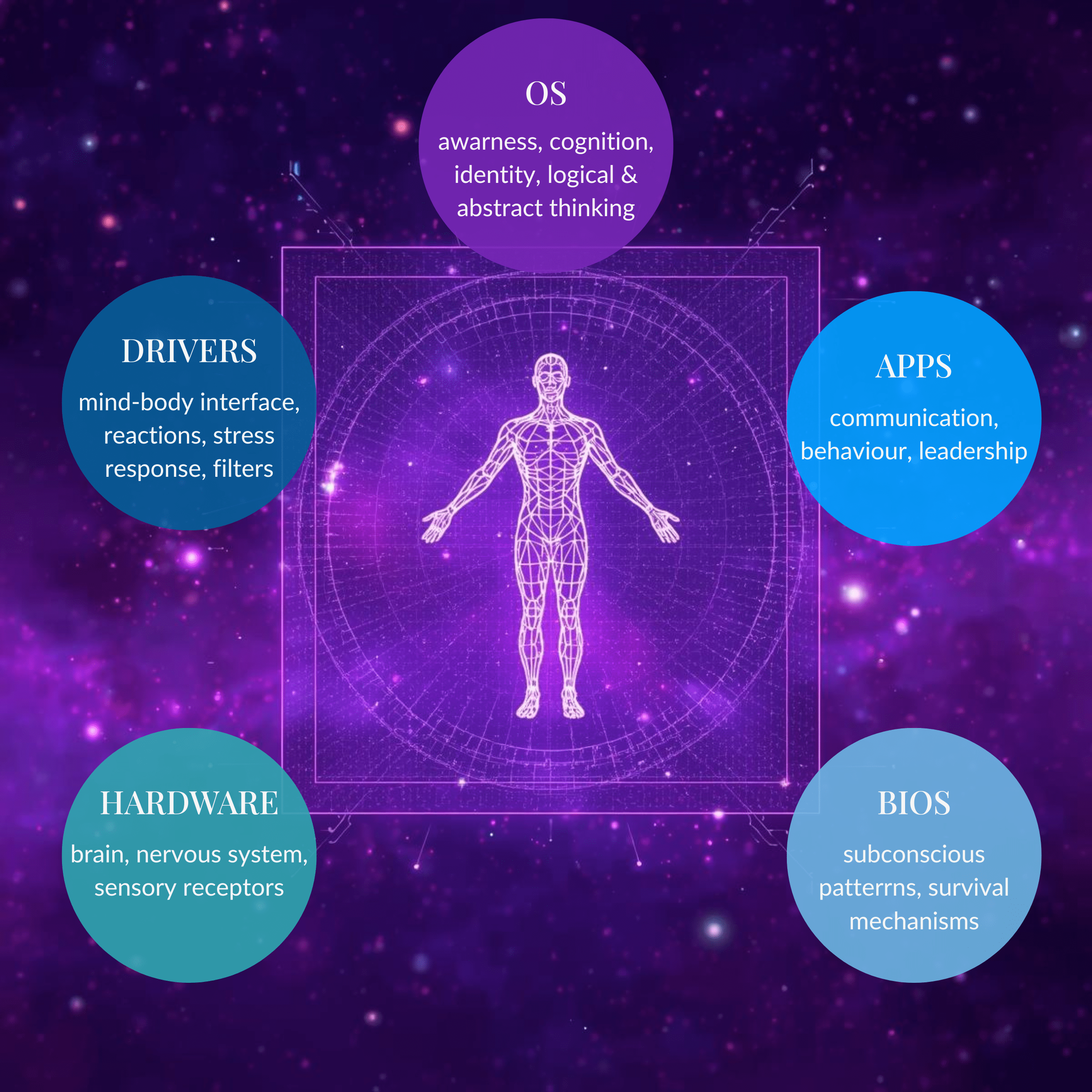 Infographic of the Human Operating System model with a holographic wireframe human figure showing Hardware, BIOS, Drivers, OS and Apps layers. Created by Renata Clarke, Brand Alchemi.